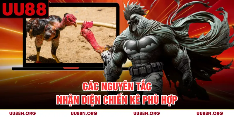 Các nguyên tắc nhận diện chiến kê phù hợp