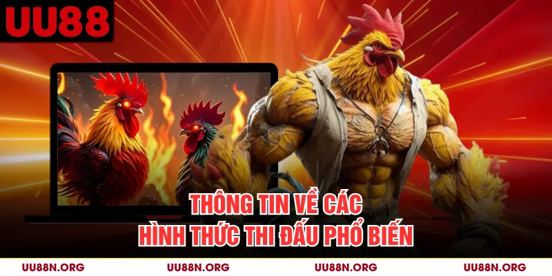 Thông tin về các hình thức thi đấu phổ biến